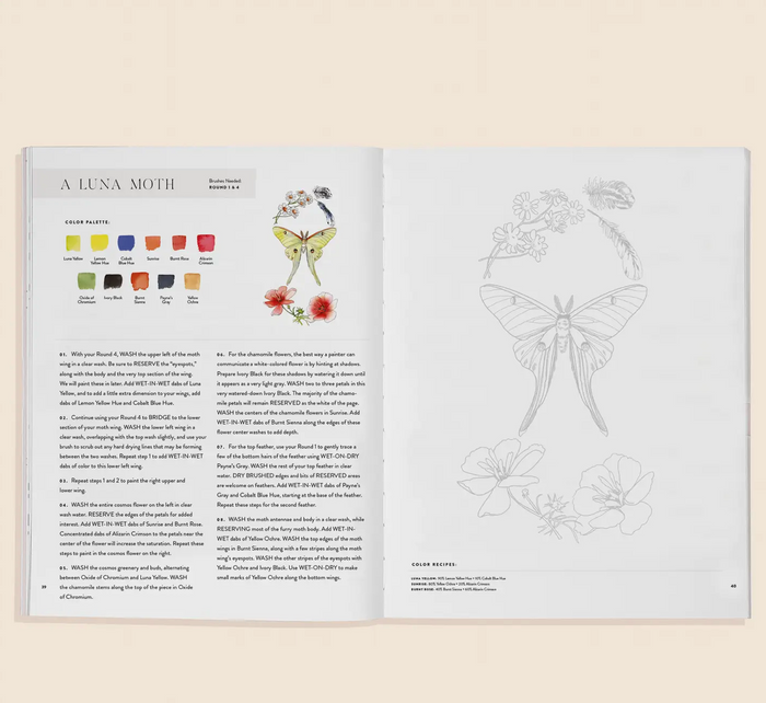 Flowers And Feathers Coloring Book