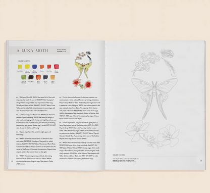 Flowers And Feathers Coloring Book
