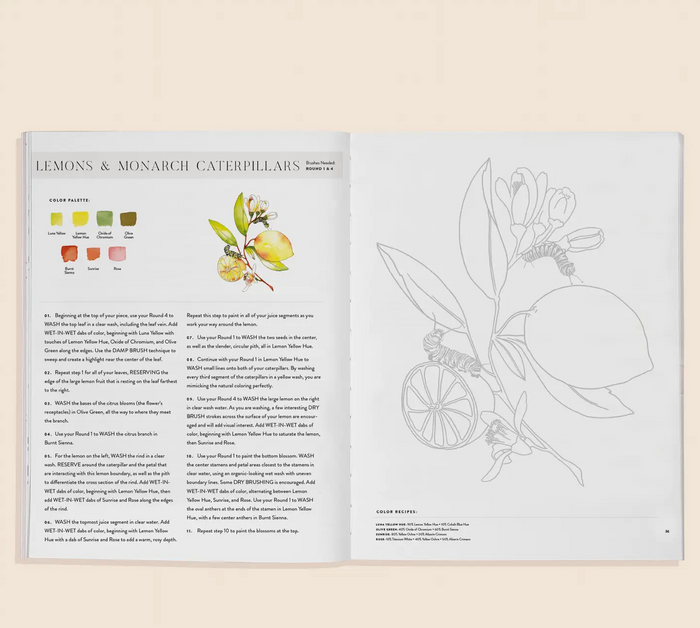 Flowers And Feathers Coloring Book