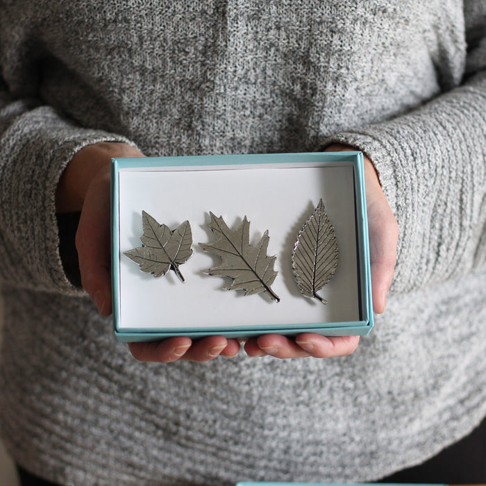 Leaves