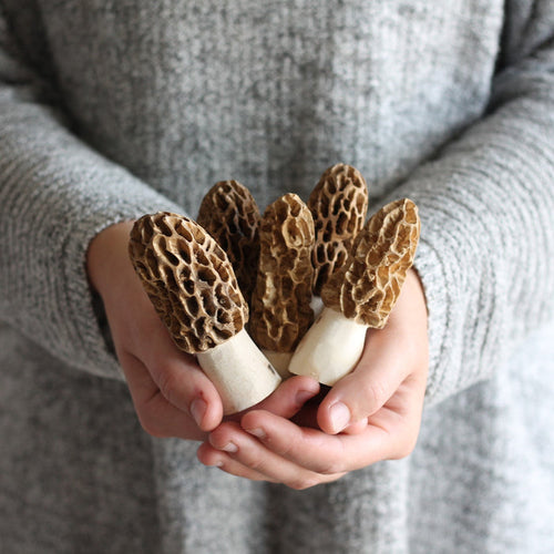 Handmade Wooden Morel Mushroom image 0