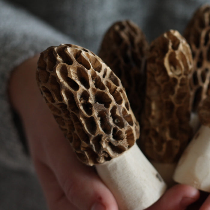 Handmade Wooden Morel Mushroom image 2