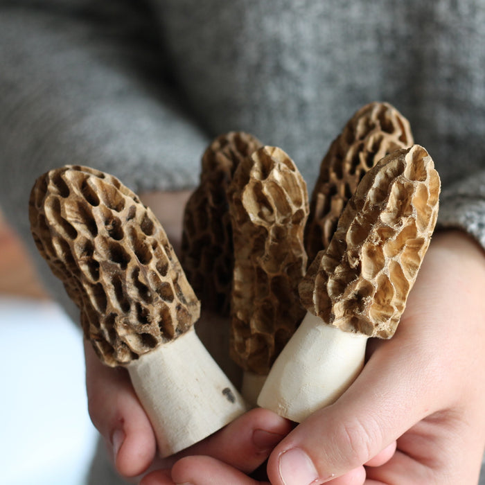 Handmade Wooden Morel Mushroom image 3