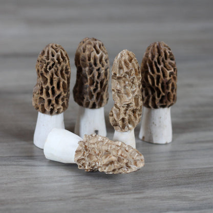 Handmade Wooden Morel Mushroom image 6