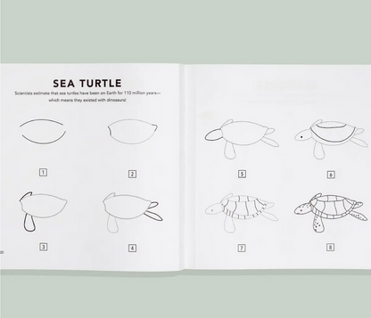 How To Draw Sea Coloring Book